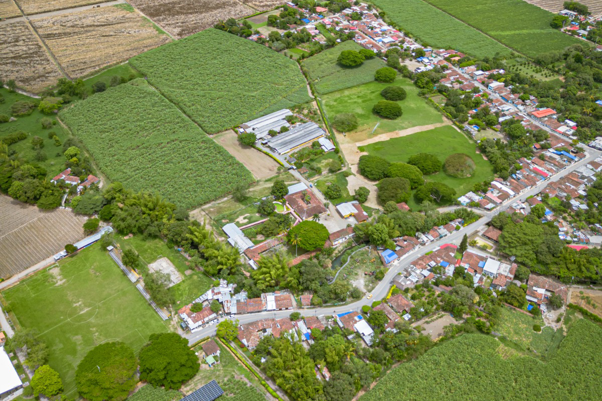 Valle del Samán Imagen 4